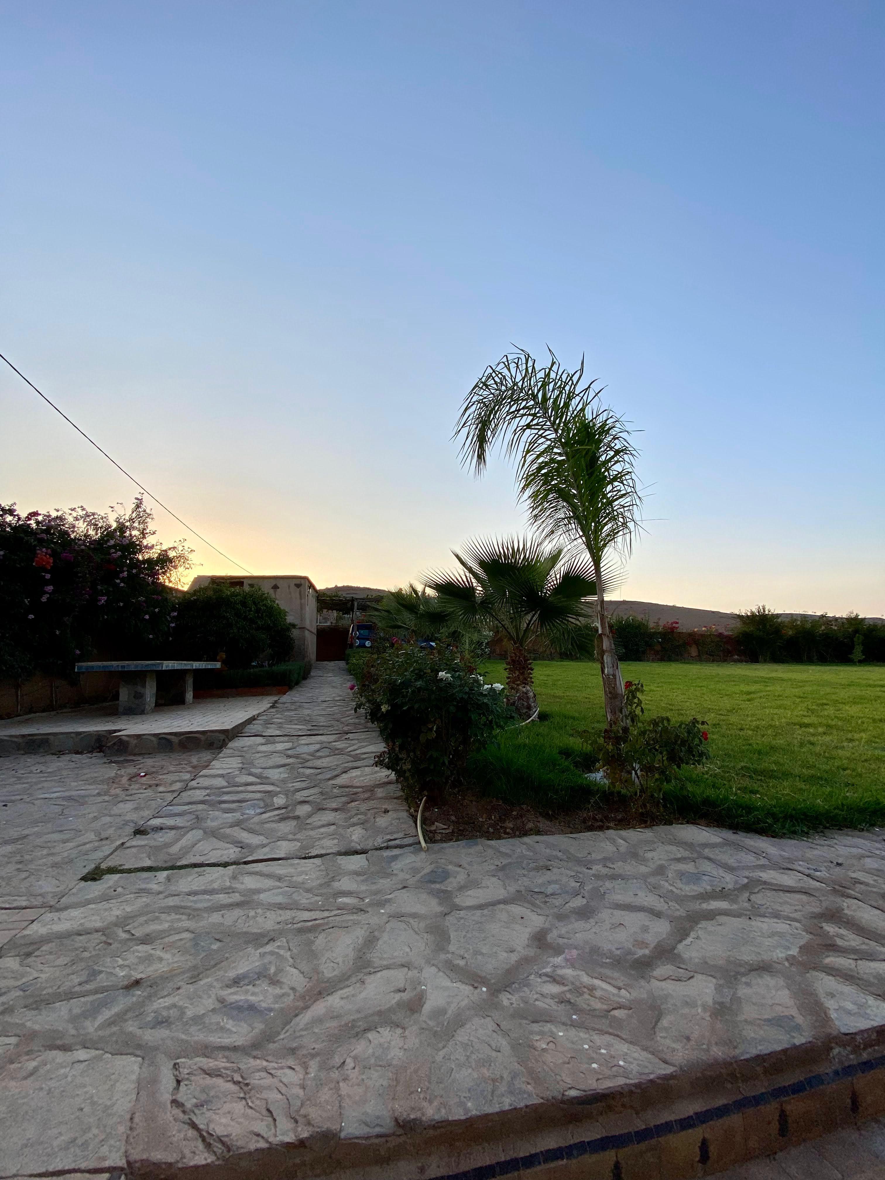 5,000 sqm Farm with House – Lalla Takerkoust — 11