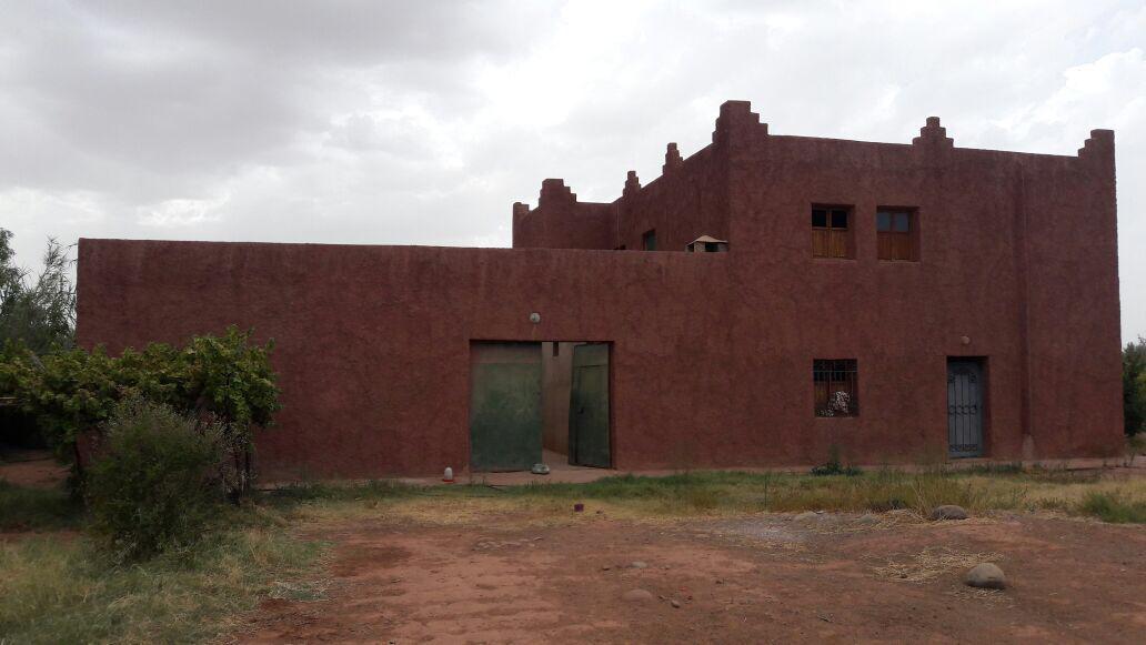 Titled Farm 4.5 Hectares – 780 Olive Trees – House 140 sqm – Near Marrakech