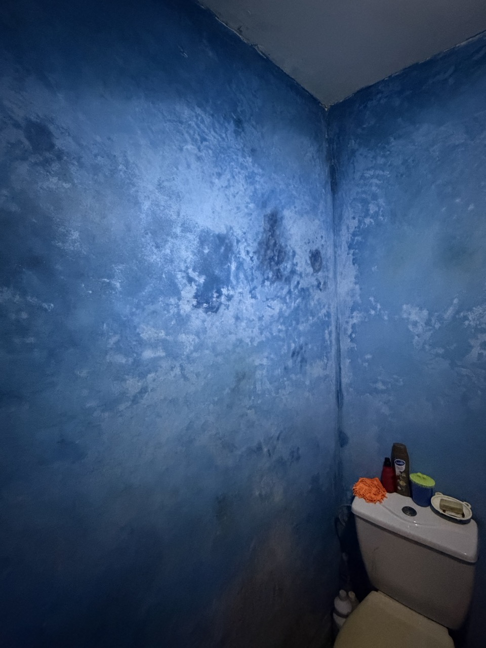 Renovated Riad for Sale – Zaouia El Abassia – 108 sqm – Titled — 12