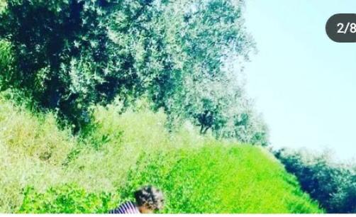 Titled Farm 4.5 Hectares – 780 Olive Trees – House 140 sqm – Near Marrakech — 4