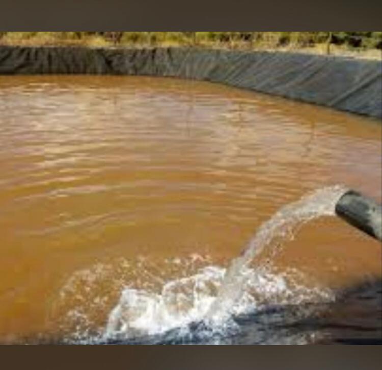 Titled Farm 4.5 Hectares – 780 Olive Trees – House 140 sqm – Near Marrakech — 7