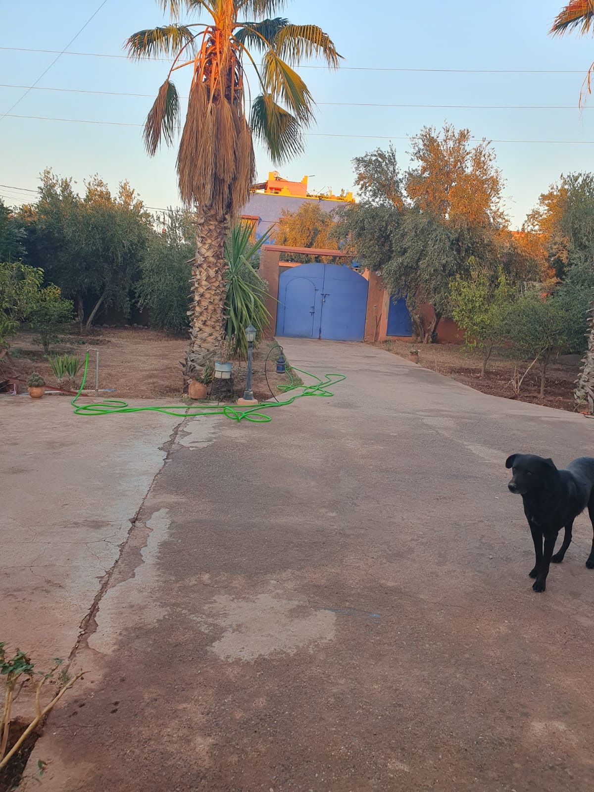 1,500 sqm Villa – Route de Fès – 20 km from Marrakech — 8